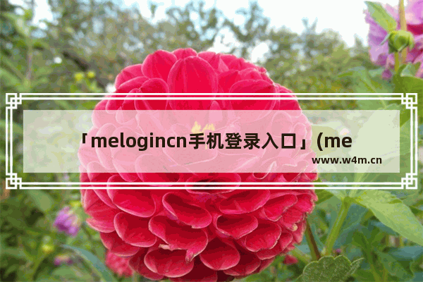 「melogincn手机登录入口」(melogincn手机登录入口上网)