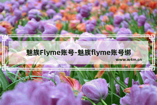 魅族Flyme账号-魅族flyme账号绑定解除