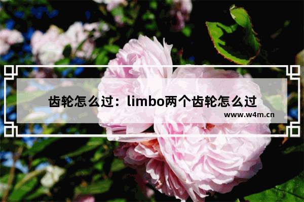 齿轮怎么过：limbo两个齿轮怎么过