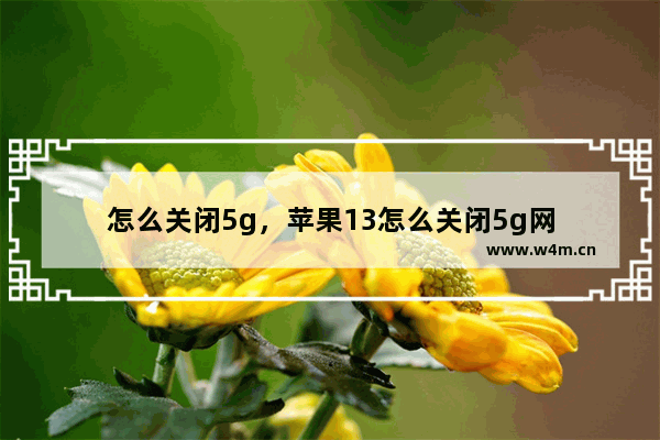 怎么关闭5g，苹果13怎么关闭5g网