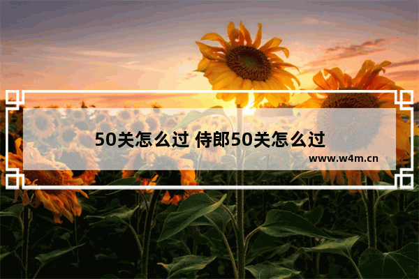 50关怎么过 侍郎50关怎么过