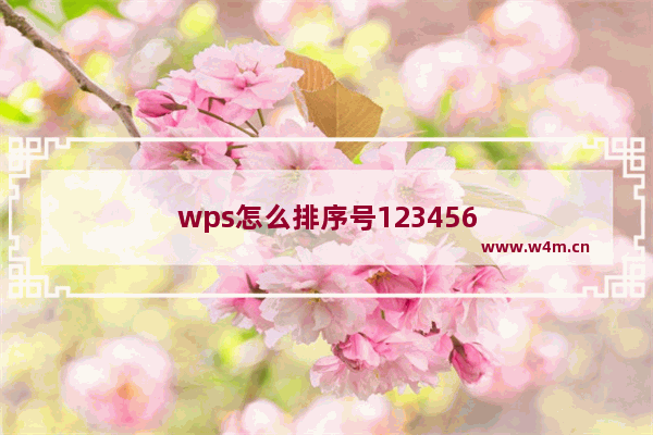 wps怎么排序号123456