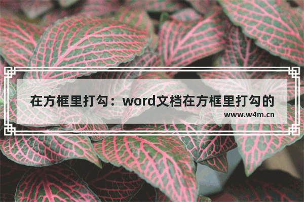 在方框里打勾：word文档在方框里打勾的符号怎么打出来