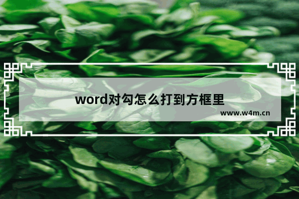 word对勾怎么打到方框里