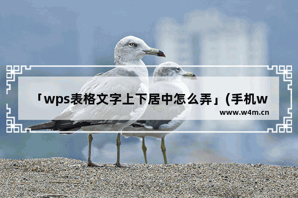 「wps表格文字上下居中怎么弄」(手机wps表格文字上下居中怎么弄)