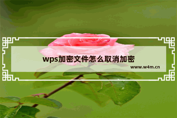 wps加密文件怎么取消加密