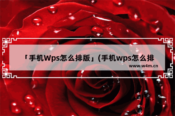 「手机Wps怎么排版」(手机wps怎么排版文字格式)