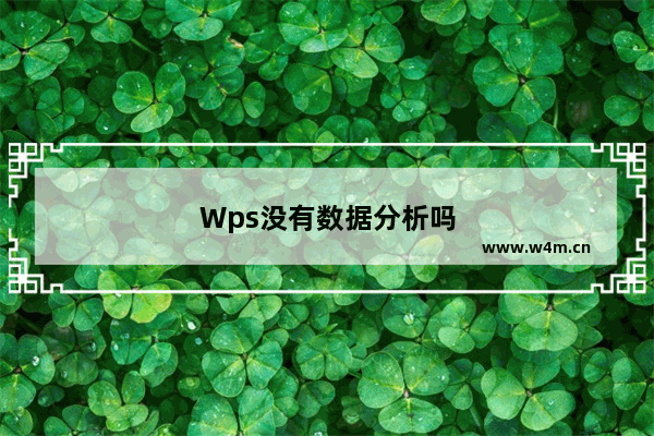 Wps没有数据分析吗