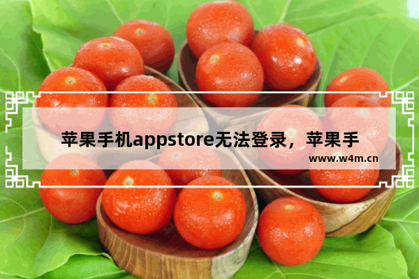 苹果手机appstore无法登录，苹果手机appstore无法登录登陆