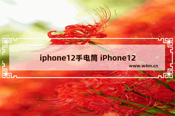 iphone12手电筒 iPhone12手电筒怎么关闭