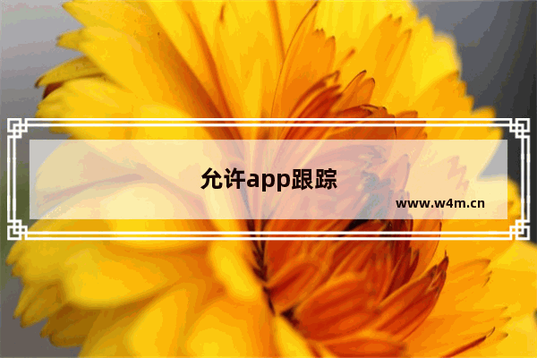 允许app跟踪