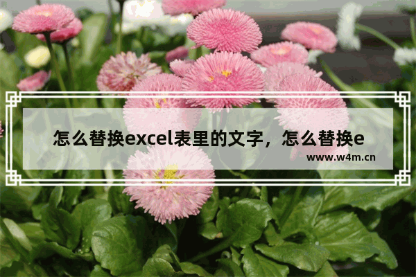 怎么替换excel表里的文字，怎么替换excel表里的文字数字数字不变