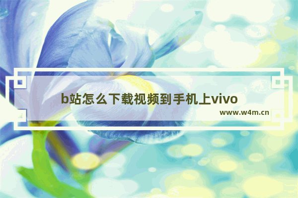 b站怎么下载视频到手机上vivo