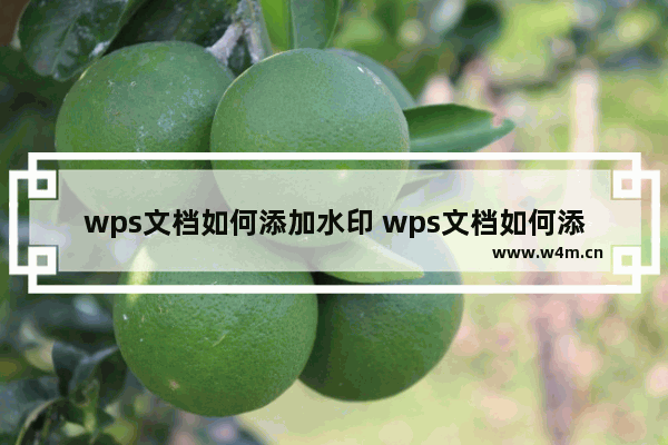 wps文档如何添加水印 wps文档如何添加水印文字