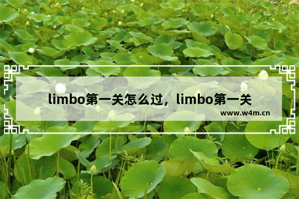 limbo第一关怎么过，limbo第一关怎么过河