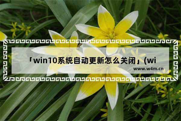 「win10系统自动更新怎么关闭」(win10系统自动更新怎么关闭不了)