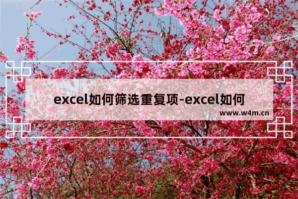 excel如何筛选重复项-excel如何筛选重复项删除不同的