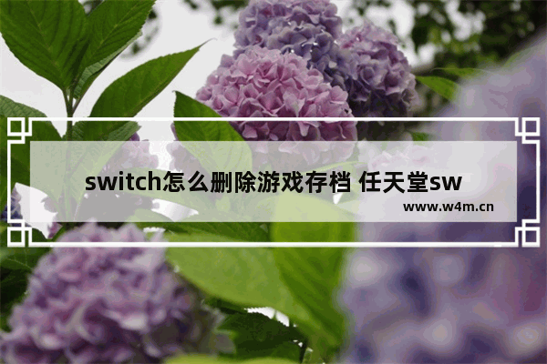 switch怎么删除游戏存档 任天堂switch怎么删除游戏存档