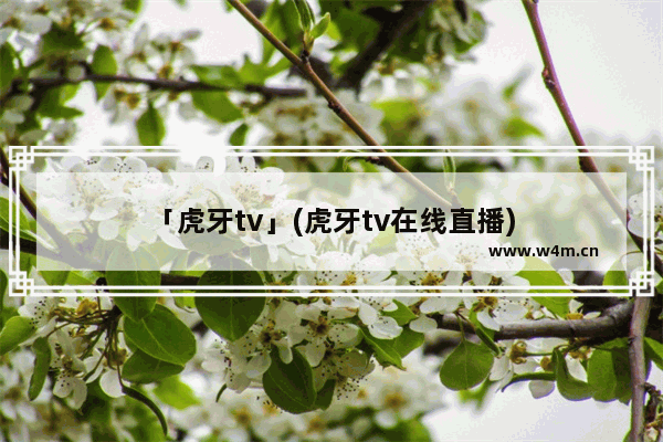 「虎牙tv」(虎牙tv在线直播)