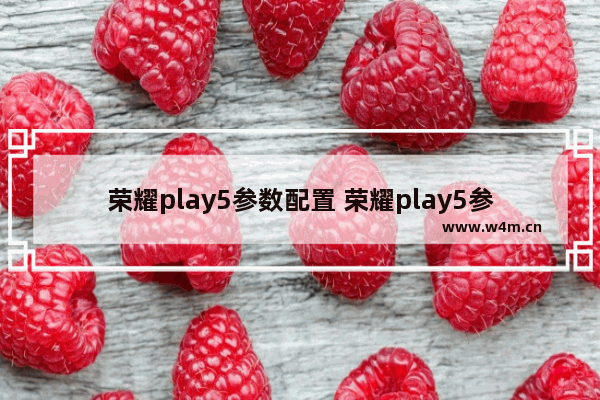 荣耀play5参数配置 荣耀play5参数配置与荣耀x20