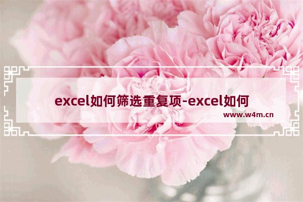 excel如何筛选重复项-excel如何筛选重复项删除不同的