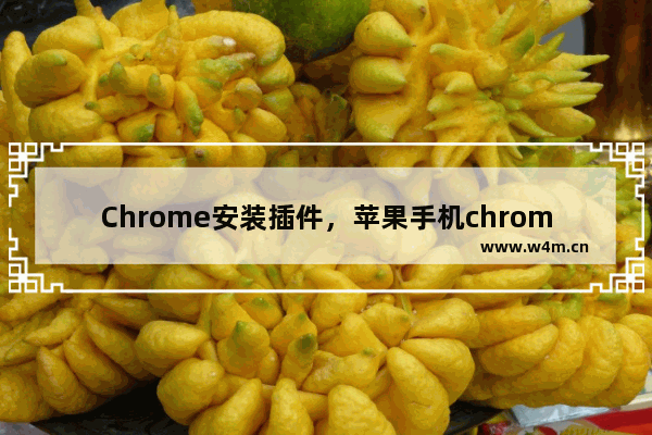 Chrome安装插件，苹果手机chrome安装插件方法