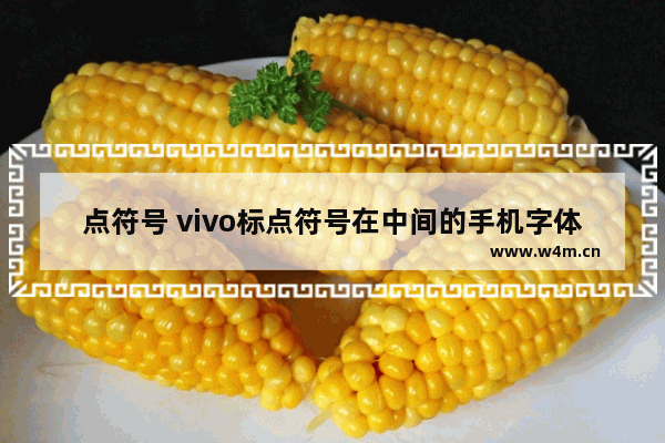 点符号 vivo标点符号在中间的手机字体