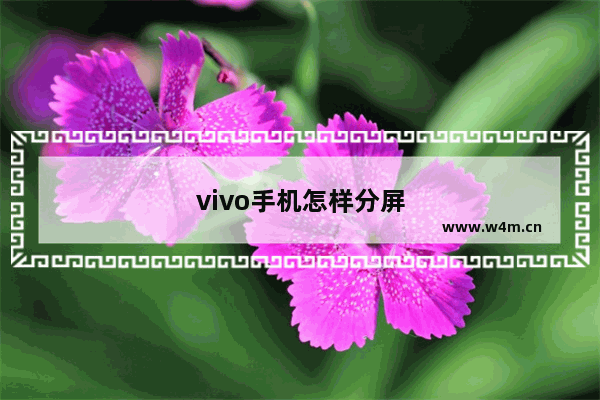 vivo手机怎样分屏