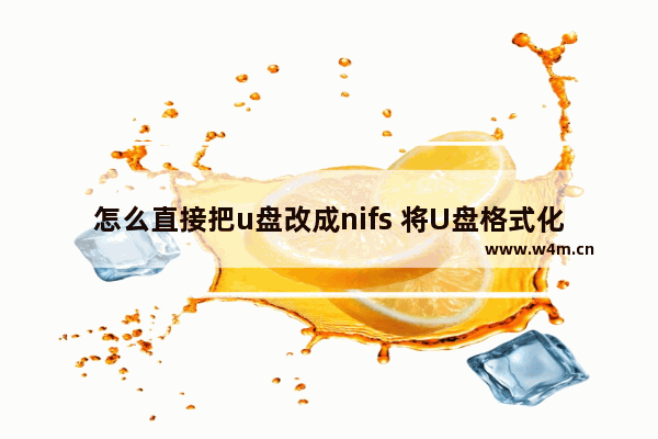 怎么直接把u盘改成nifs 将U盘格式化为NIFS文件系统