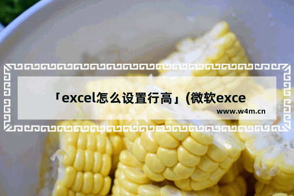 「excel怎么设置行高」(微软excel怎么设置行高)