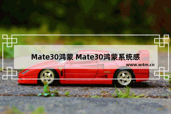 Mate30鸿蒙 Mate30鸿蒙系统感受