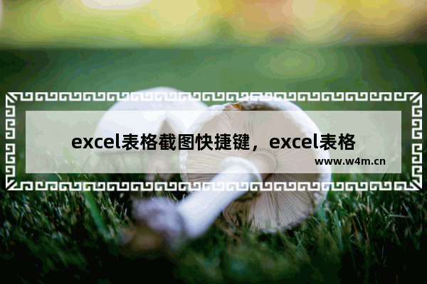 excel表格截图快捷键，excel表格截图快捷键怎么设置