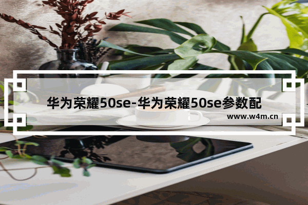 华为荣耀50se-华为荣耀50se参数配置8+256