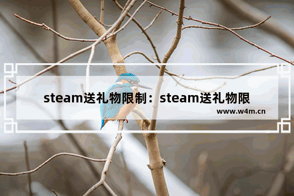 steam送礼物限制：steam送礼物限制30天