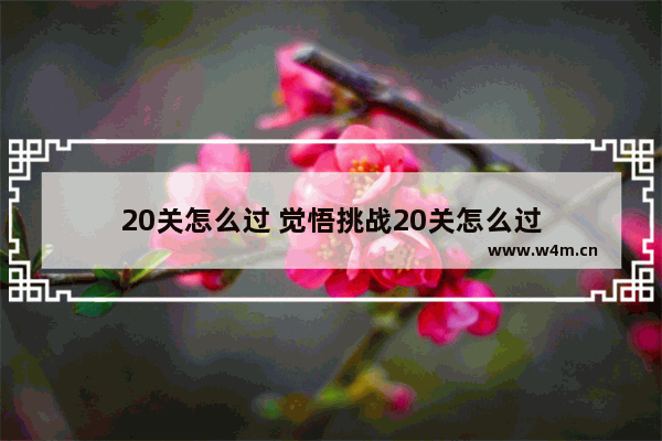 20关怎么过 觉悟挑战20关怎么过