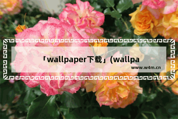 「wallpaper下载」(wallpaper下载的应用程序怎么玩)