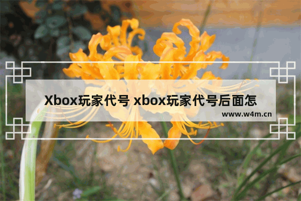 Xbox玩家代号 xbox玩家代号后面怎么有数字