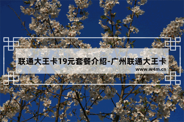 联通大王卡19元套餐介绍-广州联通大王卡19元套餐介绍