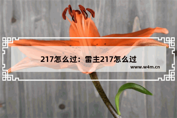 217怎么过：雷主217怎么过