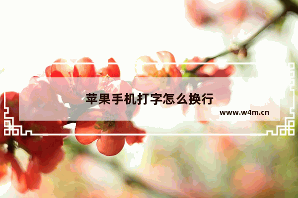 苹果手机打字怎么换行