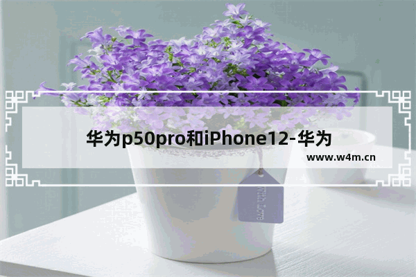 华为p50pro和iPhone12-华为p50pro和iphone12promax zhihu