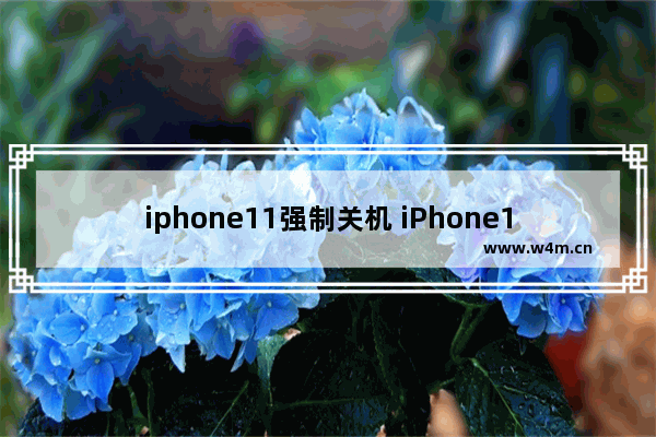 iphone11强制关机 iPhone11强制关机关不了怎么办