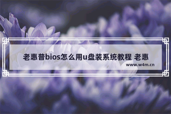 老惠普bios怎么用u盘装系统教程 老惠普电脑bios使用U盘安装系统教程