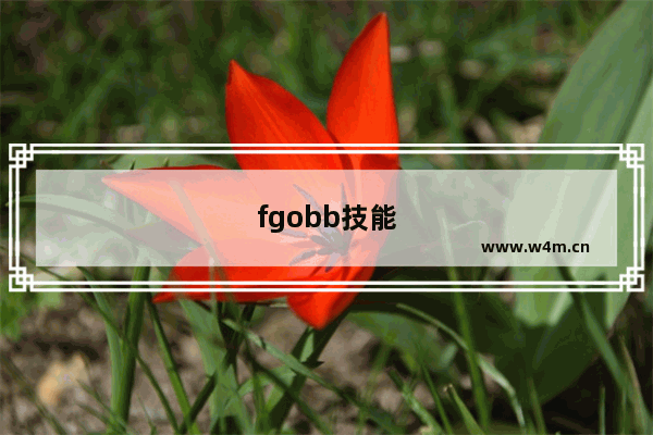 fgobb技能