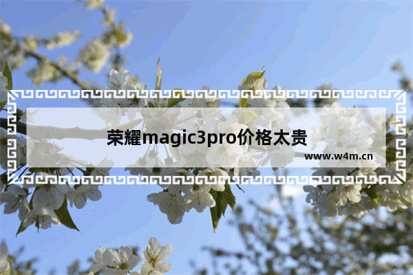 荣耀magic3pro价格太贵