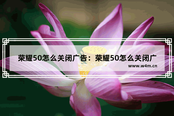 荣耀50怎么关闭广告：荣耀50怎么关闭广告与隐私