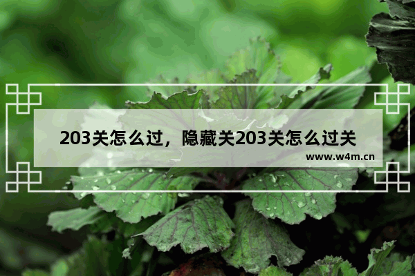 203关怎么过，隐藏关203关怎么过关