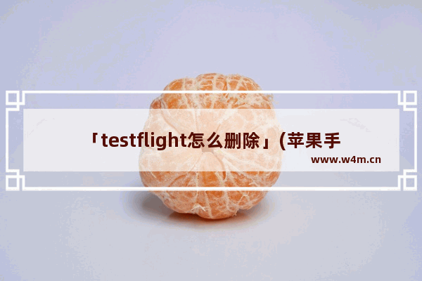 「testflight怎么删除」(苹果手机testflight怎么删除软件)