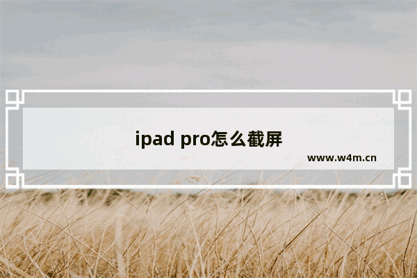 ipad pro怎么截屏