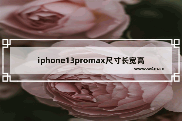 iphone13promax尺寸长宽高